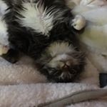 Profile Picture of Isaac Chaney (@chaney.isaac) on Instagram