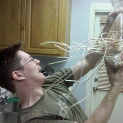 Profile Picture of Jeremy Leung (@uberschnitzel) on Twitter
