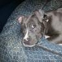 Profile Picture of Tara Kline (@tara-kline-4) on Quora