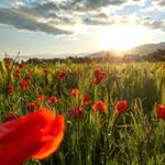 Love Nature - Instagram Profile Picture of Love Nature (@love___natural) on Instagram