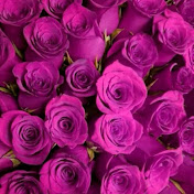 Profile Picture of Cordell Wright Wright (@cordellwrightwright318) on Youtube