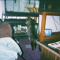 Profile Picture of Robert Lenny Brewer (@robert-lenny-brewer) on Quora