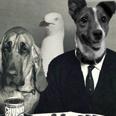 Profile Picture of Tim Conlan (@bassmantimmy) on Twitter
