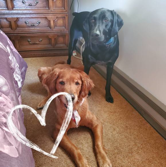 Profile Picture of Joyce Weaver (@jlw1959) on Poshmark