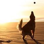 Profile Picture of Laurie Lawrence (@lmccartney146) on Instagram