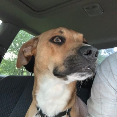 Profile Picture of Zach Crouse (@ZachCrouse) on Twitter