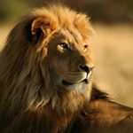 Profile Picture of Jeff Parmer (@parmerjeff) on Instagram