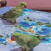 Profile Picture of Lopamudra Das (@LopamudraDas-ep6me) on Youtube