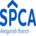 Profile Picture of Antigonish SPCA (@AntigonishSPCA) on Twitter