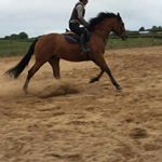 Profile Picture of Darragh Richardson (@darraghrichardson) on Instagram