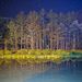 Profile Picture of Dustin Proctor (@drproctor28) on Pinterest