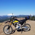 Profile Picture of Todd Winston (@winston.todd) on Instagram