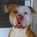 Profile Picture of Chris Navarrete (@chris.navarrete.3158) on Facebook