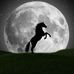 Profile Picture of Matthew Owensby (@matthew.owensby.750) on Facebook