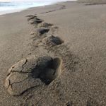 Profile Picture of Joseph Gray (@josephrgray) on Instagram