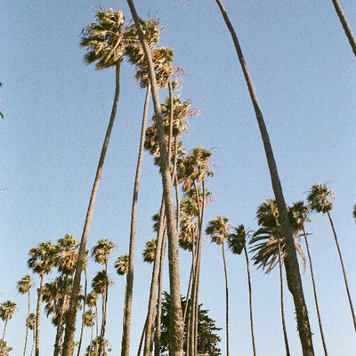 Profile Picture of Ivy Schneider (@ivyschneider_) on Twitter