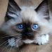 Profile Picture of Alice Estep (@Alice-Estep) on Facebook