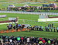 Profile Picture of Cheltenham Festival - Wikipediaon Wikipedia