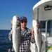 Profile Picture of Stuart Hamer (@stuart.hamer.39) on Facebook
