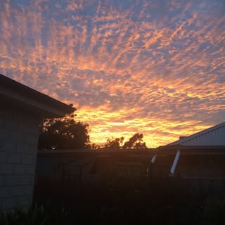 Profile Picture of Cassandra Haines (@cassandrahaines) on Instagram