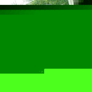 Profile Picture of Kyle Lunney (@k_lunney) on Myspace