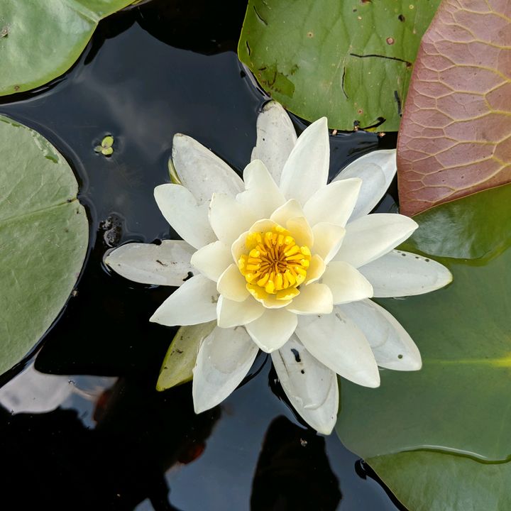 Profile Picture of Erin Wallschlaeger (@momsindahouse) on Tiktok