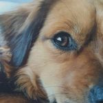 Profile Picture of Dillon Jennings (@dillon.acc) on Instagram