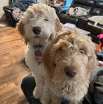 Profile Picture of Ruby Cannon (@ruby.cannon.718880) on Facebook