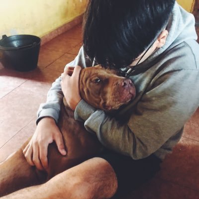 Profile Picture of Lucas (@Finn_Floyd) on Twitter