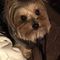 Profile Picture of Maverick Roberts (@maverick.roberts.756) on Facebook