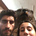 Profile Picture of caitlin malskis (@kfcaitlin) on Instagram
