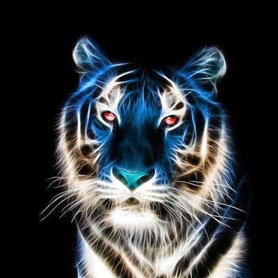 Profile Picture of Kyle Rauch (@runner_703) on Twitter