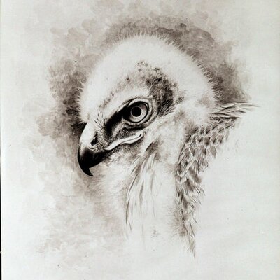 Profile Picture of Randy Fehr (@fehrk) on Twitter