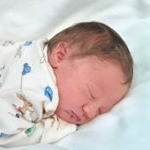 Profile Picture of Baby Frankie (@frankie_nigel_freeman) on Instagram