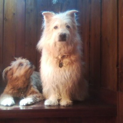 Profile Picture of Edward Dunbar (@EdwDunbar) on Twitter