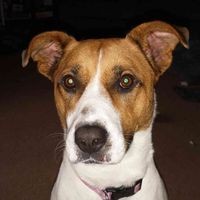 Tracie Caddell - Quora Profile Picture of Tracie Caddell (@tracie-caddell) on Quora