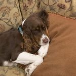 Profile Picture of Gavin Bates (@gavin_bigfoot) on Instagram