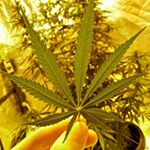 Profile Picture of Daniel hayllar (@isnert_username_here) on Instagram