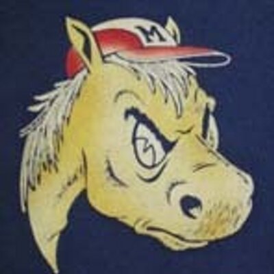 Profile Picture of Steve Hamberger (@SteveHamberger1) on Twitter
