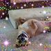 Profile Picture of Joe Motika (@joe.motika.7) on Facebook