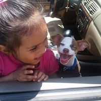 Profile Picture of Cesar Ibarra (@cesar-ibarra-13) on Quora