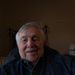 Profile Picture of Robert Royal (@robertroyalaec) on Pinterest