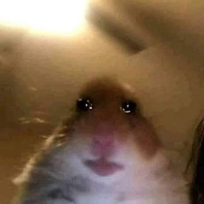 Profile Picture of Smith Adriana (@SmithYancy) on Twitter