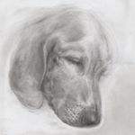 Profile Picture of joshua atlas (@inkonpaperabq) on Instagram