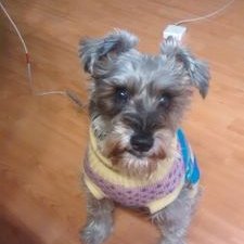 Profile Picture of Gabriel Cruz Viveros @arrabitred Habibi 19551974 (@GabrielCruzViv2) on Twitter