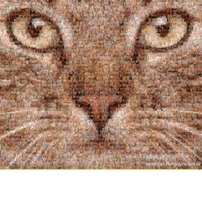 Profile Picture of Noneey_cX (@ripvanwinkle193) on Twitter