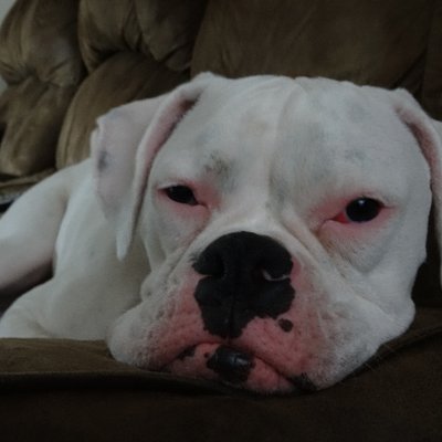 Profile Picture of Joe Wen Jackson (@JoeWenJackson) on Twitter