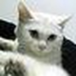 Profile Picture of Bianca Valle (@Martix's) on Flickr