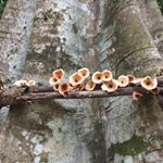 Profile Picture of Paul Garbutt (@garp65) on Instagram