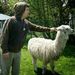 Profile Picture of aaron gerhardt (@aarong1615) on Pinterest